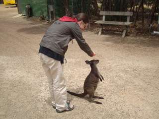 Un mes en Australia - Blogs de Australia - Adelaida y Kangaroo Island (1)